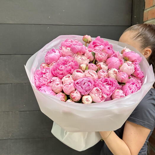 Peonies Sarah Bernardt 50 pc