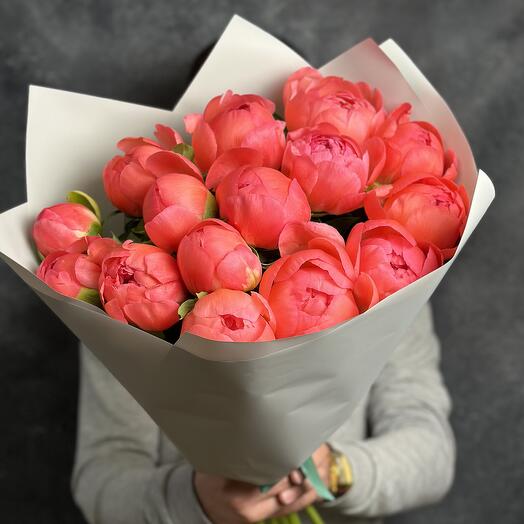 Букет из 15 коралловых пионов