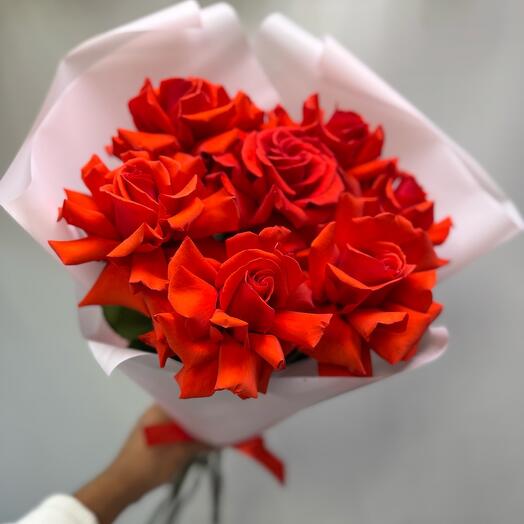 Пионы французская Роза🌿