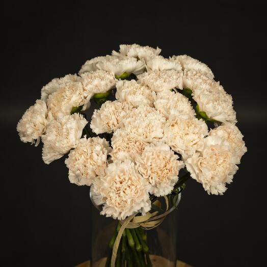 25 Meringue carnation