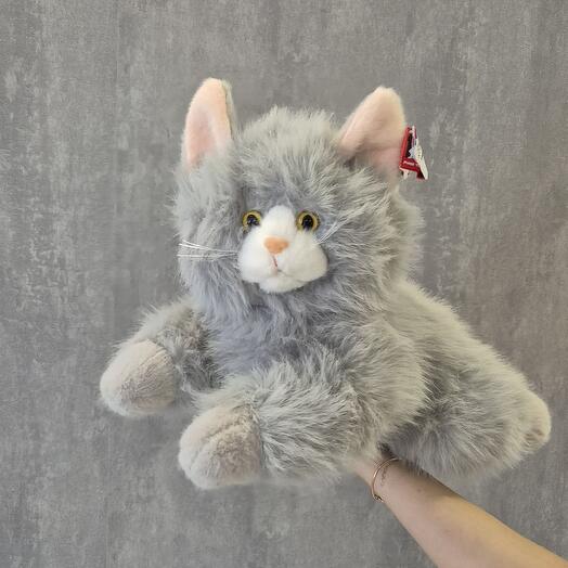 Котик