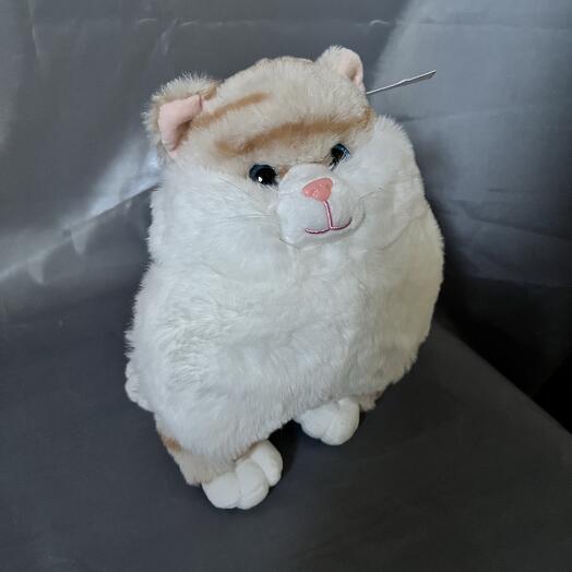 Кот