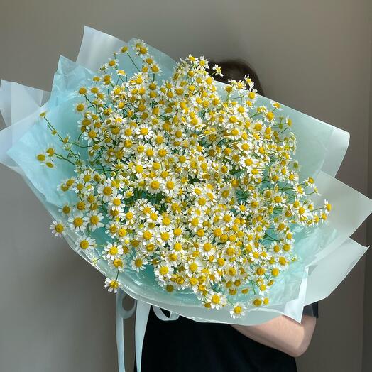 Кустовые ромашки мини