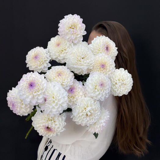 Георгины белые 15 шт