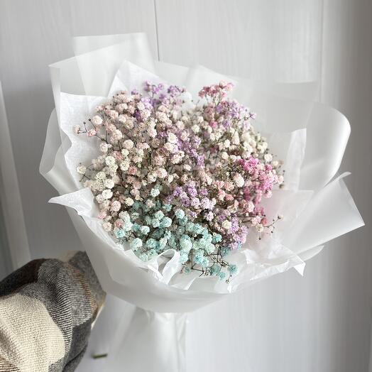 Гипсофила цветной Микс 🌸