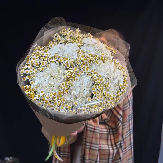 Белые Гартензии с ромашками