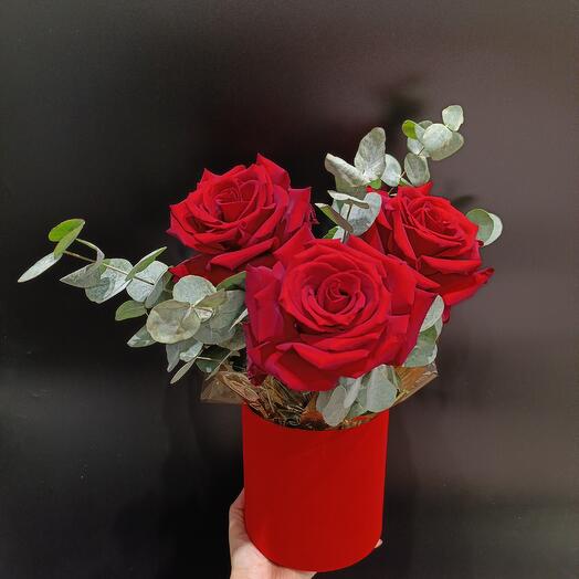 Berry Rose