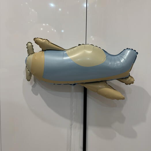 Шар голубой самолет
