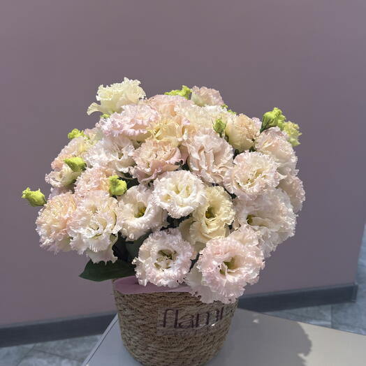 Лизиантус в кашпо