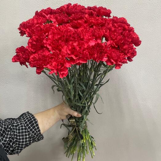 Красные гвоздики