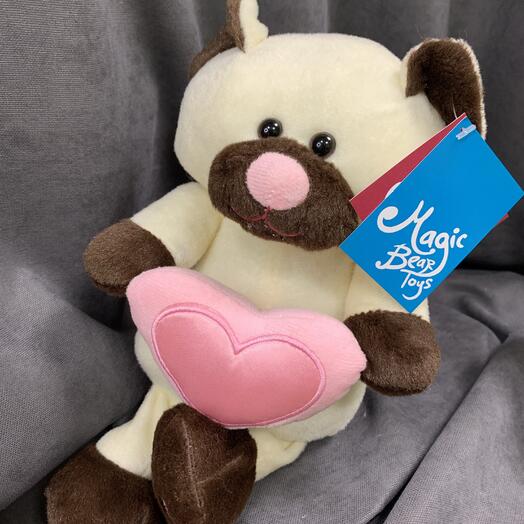 Кот с сердцем