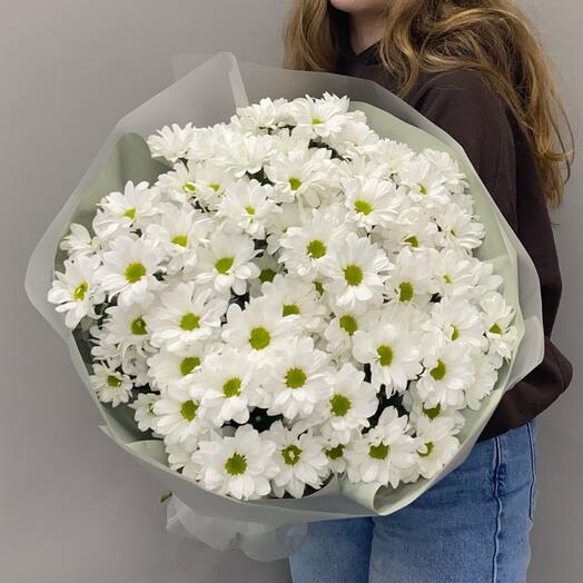 Букет из белой ромашковой кустовой хризантемы 11 штук