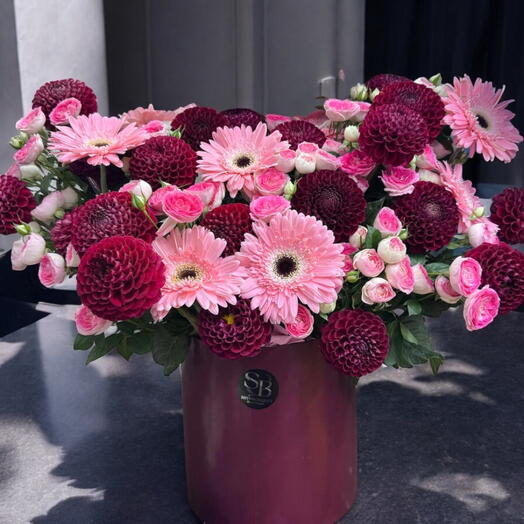 Микс из гербера