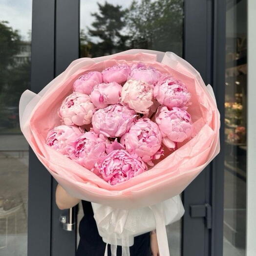 Пионы Сара Бернард - 13 шт дизайнерским оформлением