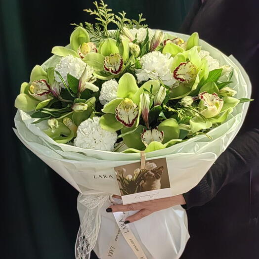 «White + Green»