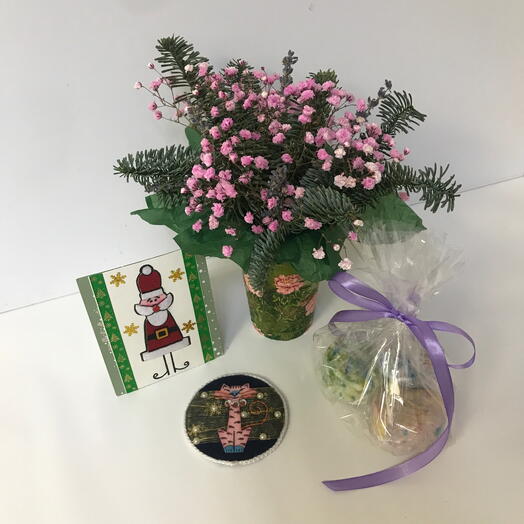 Новогодний набор (N12)