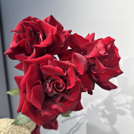 Красные розы 3шт 🌹