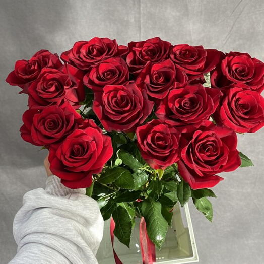 Rose Exsplorer 1.10