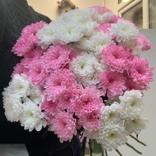 Хризантемы микс