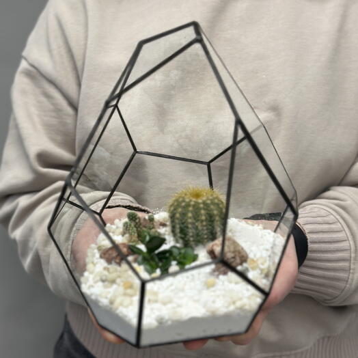 Флорариум Яйцо дракона