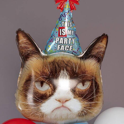 Грустный кот