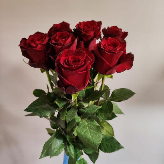 Красные розы Эквадор 7 шт