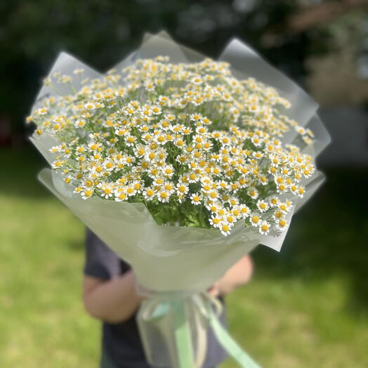 Букет из ромашек
