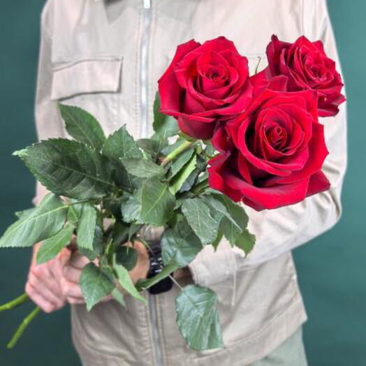Букет розы Эксплорер 3 шт