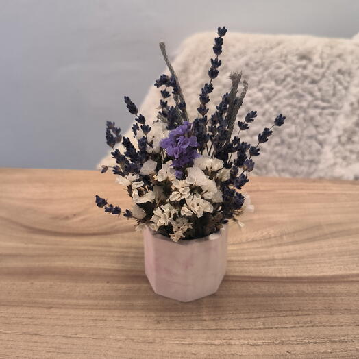 Сухоцветы микс в гипсовой вазочке Лавандовая мечта