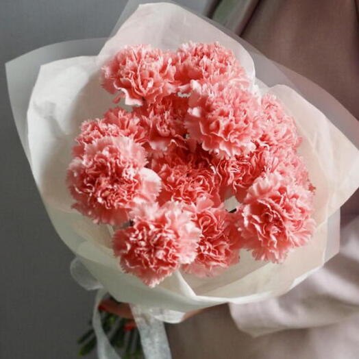 Розовый плюш из гвоздик