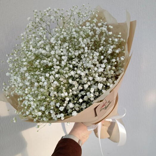 Bouquet "Snow-white gypsophila"