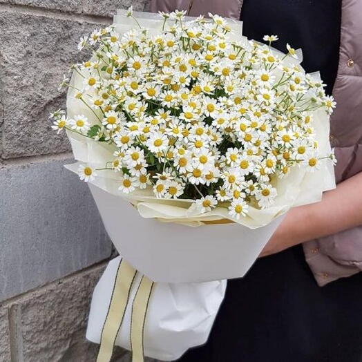 Чудесный летний букетик кустовых ромашек