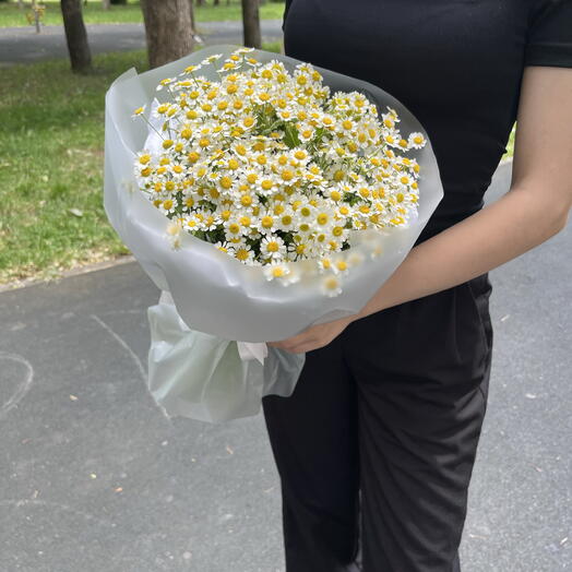 Букет из ромашки( танацетум, матрикария) в упаковке