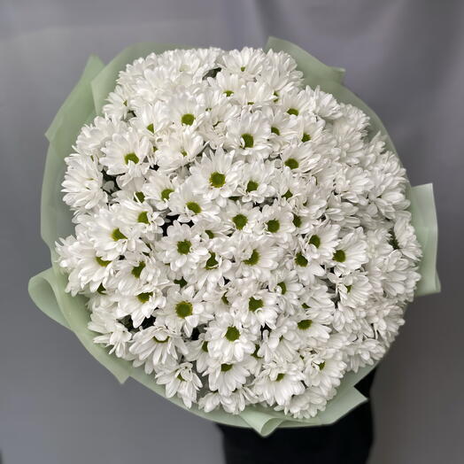Огромный WOW-букет из 25 кустовых ромашек