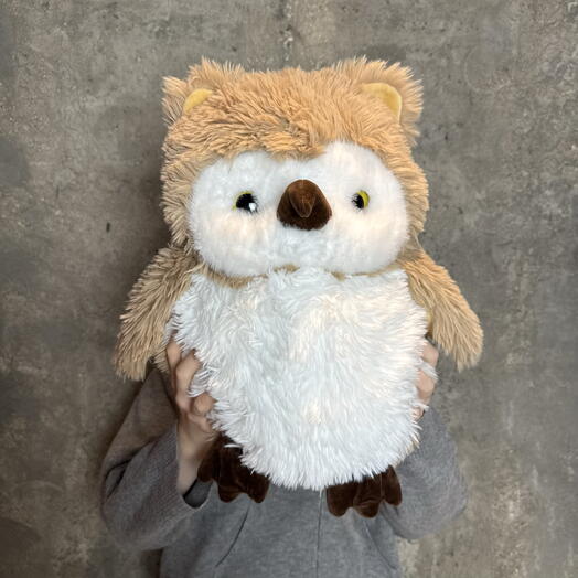 Коричневая совушка