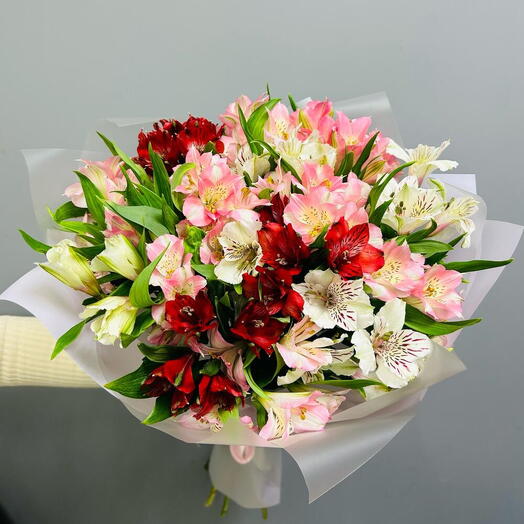 Alstroemeria mix