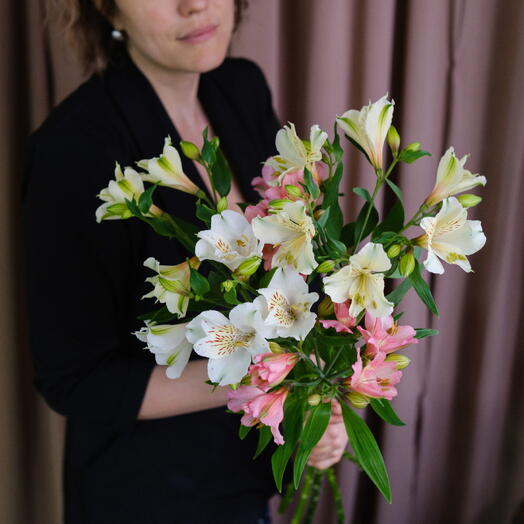 Альстромерия , 5 веток