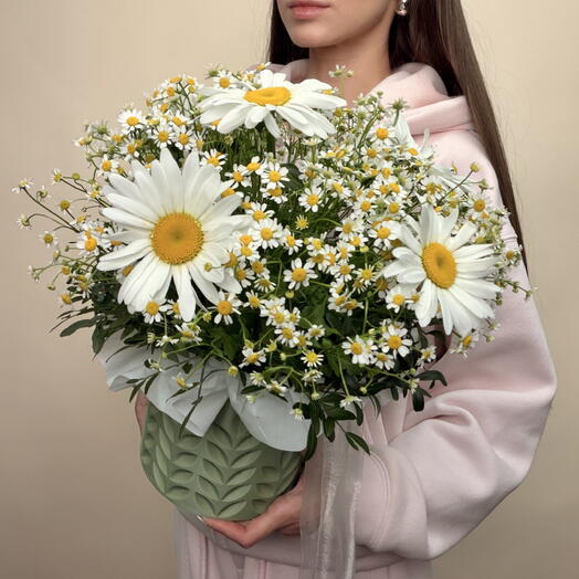 🌱Композиция ромашковое поле