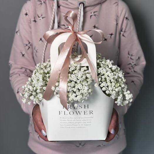 White Gypsophila in her purse