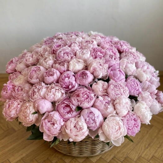 Корзина 101 пион 🌸💓, Сара Бернар, розовые, арт 69 Flower Perfect