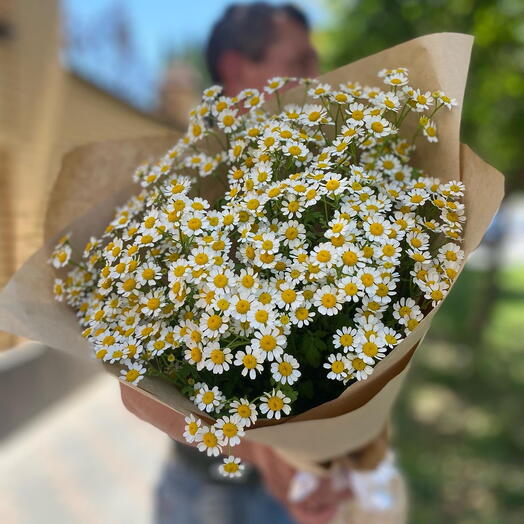 Букет «Ромашковый рай»