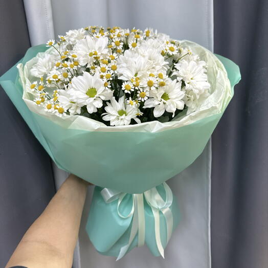 Ромашковое поле