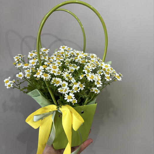 Сумочка с ромашками