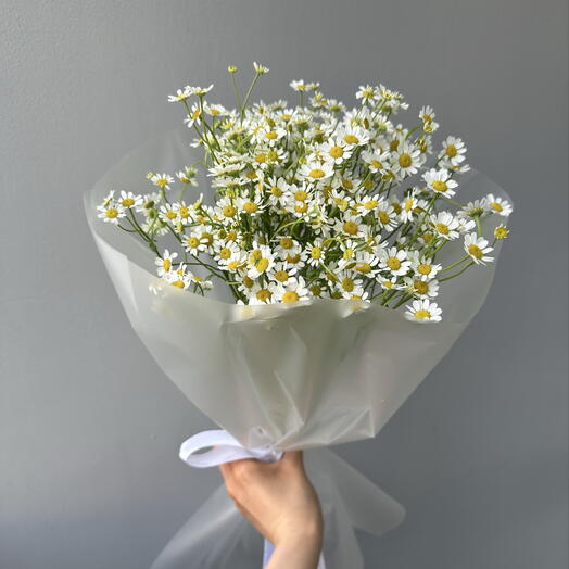 Монобукет из 5 веток ромашек в упаковке🌼