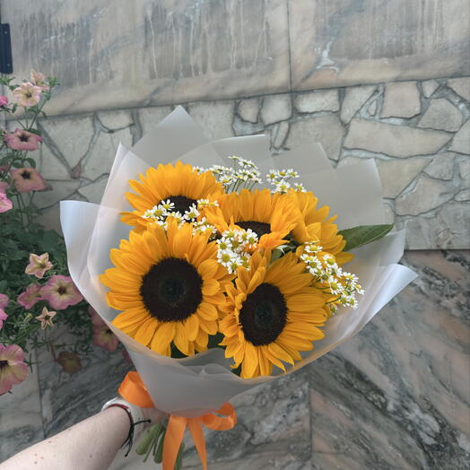 Солнечный день