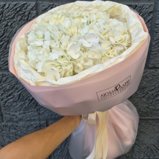 Моно букет из гортензий