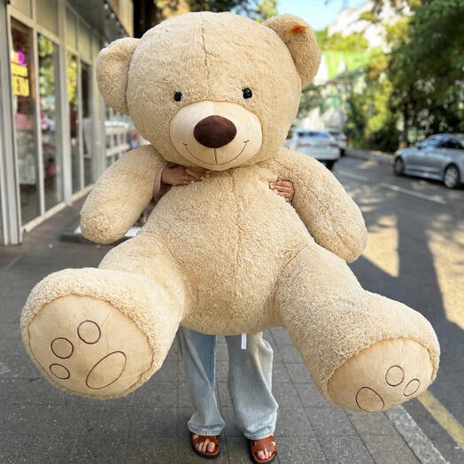 Мягкая игрушка медведь «Мишка» 🐻