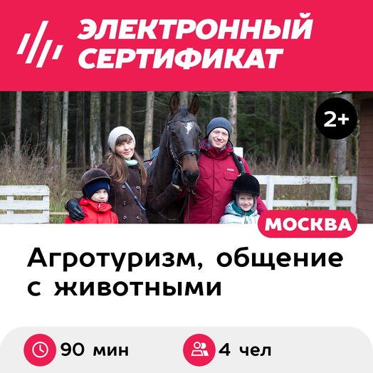 Подарочный сертификат Экскурсия в мир лошадей и мастер-класс для 2 взрослых и 2 детей
