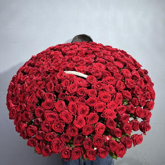 🌹301 КРУПНАЯ КРАСНАЯ РОЗА В КОРЗИНЕ🌹