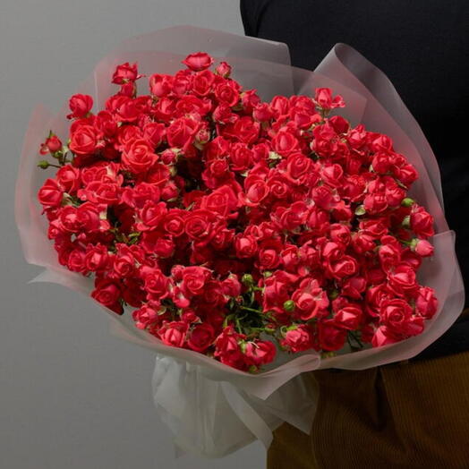 Розы черри хеопс, 25 шт